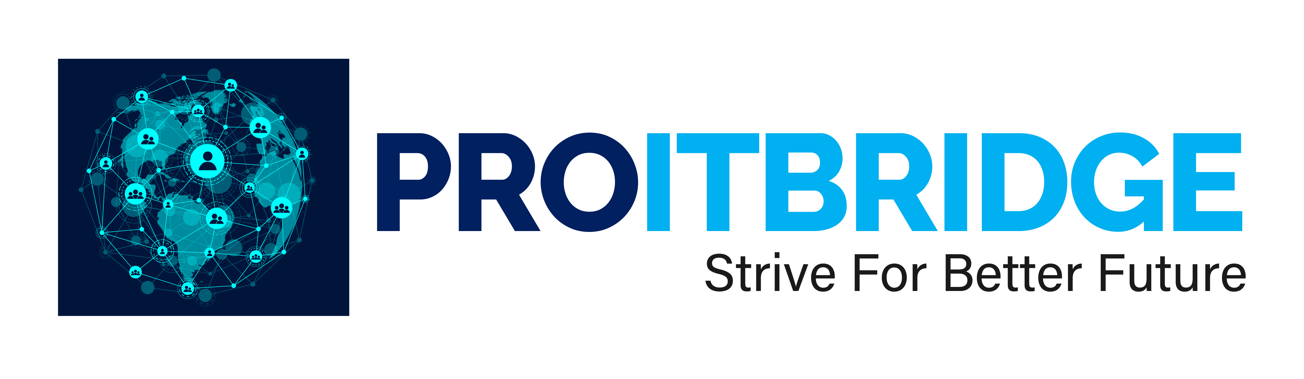 PROITBRIDGE - Strive For Better Future